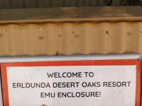 340. Toilettenstopp an Emu-Station im Outback, Australien