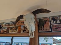 344. Toilettenstopp an Kings Creek Rinderfarm, Outback, Australien