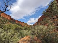 354. Kings Canyon Creek Walk, Outback, Australien