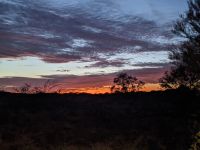 358. Sonnenaufgang im Kings Canyon Resort, Kings Canyon, Outback, Australien