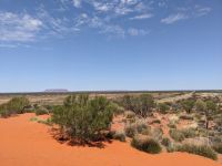 371. Toilettenstopp am Mt. Connar, Outback, Australien
