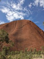 377. Spaziergang am Uluru, Schlange, Outback, Australien