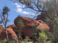378. Spaziergang am Uluru, Schlangenkopf, Outback, Australien