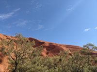 382. Spaziergang am Uluru, Outback, Australien