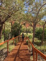 384. Spaziergang am Uluru, Outback, Australien