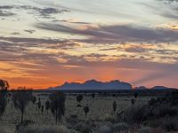 395. Sonnenuntergang im Outback, Australien