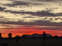 400. Sounds of Silence Abendessen, Outback, Australien