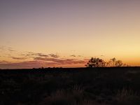 406. Sonnenaufgang am Uluru, outback, Australien