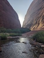 411. Fahrt zu den Kata Tjutas, Outback, Australien