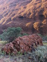 412. Fahrt zu den Kata Tjutas, Outback, Australien