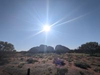 415. Fahrt zu den Kata Tjutas, Outback, Australien