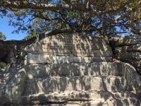 436. Mrs Macquarie`s Chair, Sydney, Australien