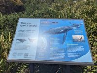 440. Watsons Bay, Sydney, Australien