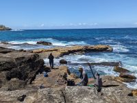 449. Bondi Beach, Sydney, Australien