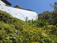 451. Bondi Beach, Sydney, Australien