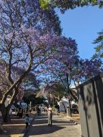 466.  Innenstadt Sydney, Australien