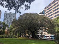 483. Hyde Park Sydney, Australien