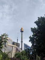 486. Sydney Tower Eye, Sydney, Australien