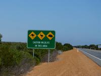 330.On the road