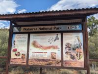347. Kings Canyon Creek Walk, Outback, Australien