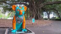 Botanischer Garten in Sydney