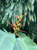 Botanischer Garten