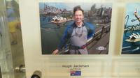 Bridge Climb wie Hugh Jackman