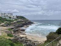Bronte