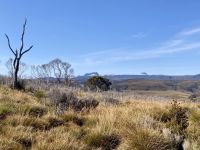 Cradle Mountain 