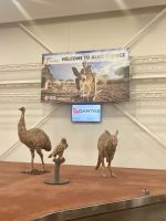 Flughafen Outback