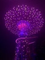 Gardens by the Bay