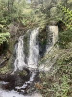 Hogarth Falls