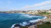 Küstenspaziergang zum Bondi Beach, Sydney