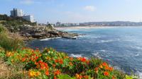 Küstenspaziergang zum Bondi Beach, Sydney