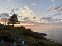 Kangaroo Island
