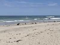 Kangaroo Island