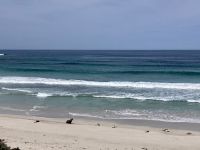 Kangaroo Island