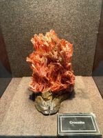 Minenmuseum Zeehan