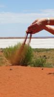 Outback