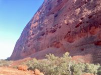 Outback