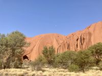 Outback