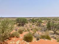 Outback