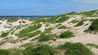 Seal Bay, Kangaroo Island