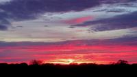 Sonnenaufgang im Outback
