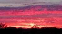 Sonnenaufgang im Outback