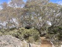 Tasmanien