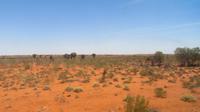 Zugfahrt ins Outback mit The Ghan