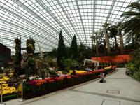 Gardens by the Bay Singapur 