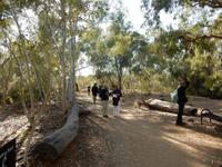 Desert Park Alice Springs 