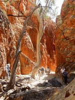 Wanderung Standley Chasm 